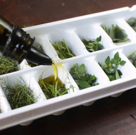 how to freeze fresh herbs in oil