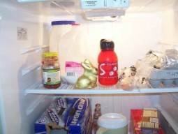 inside clean fridge
