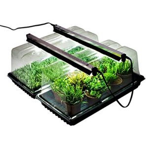 nano garden